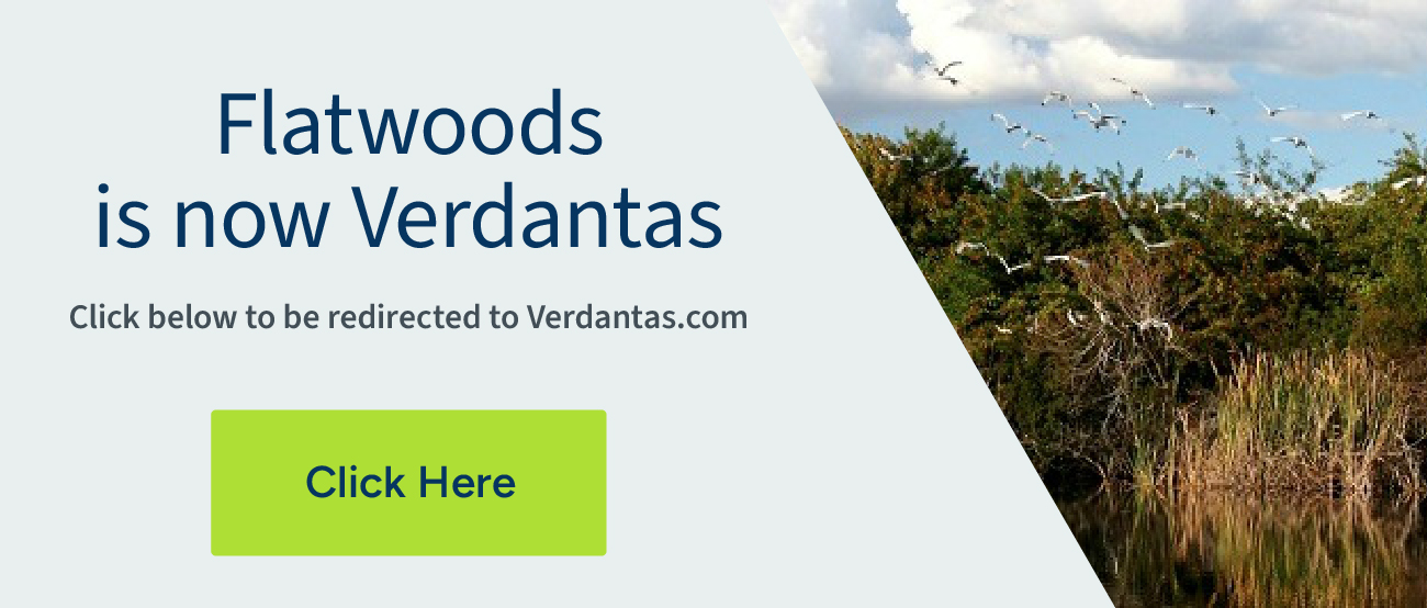 Flatwoods is now Verdantas. Click to be redirected to Verdantas.com.